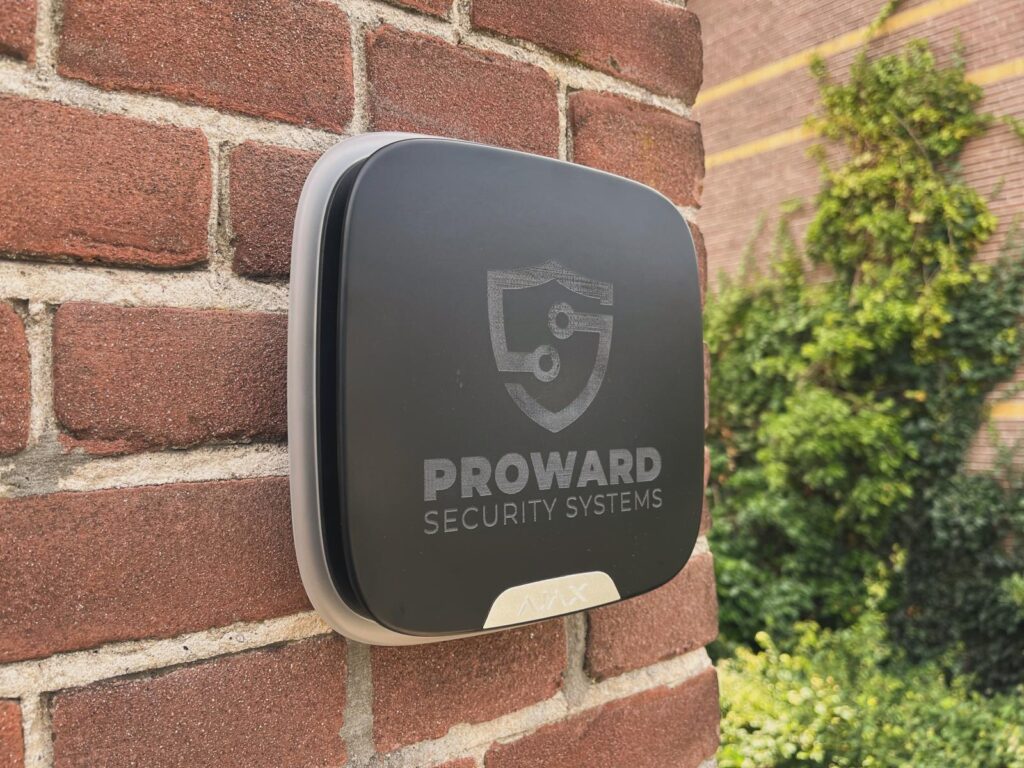 WhatsApp Image 2024-11-13 at 14.14.30