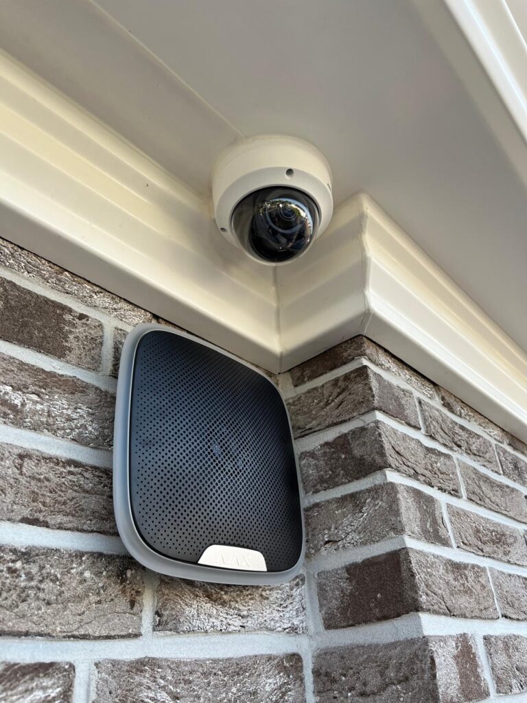 WhatsApp Image 2024-11-13 at 14.19.36